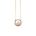 Gold Maple